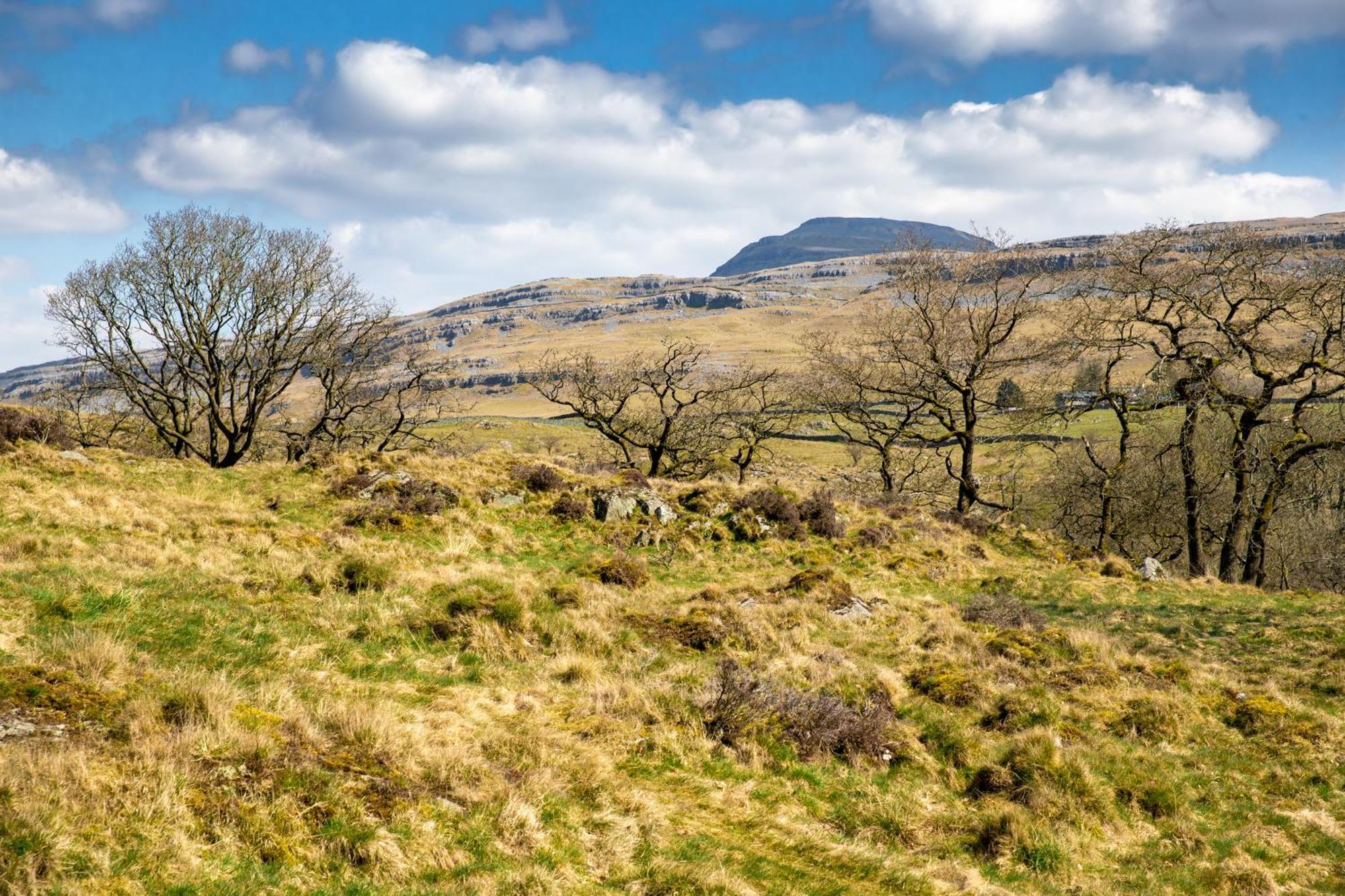 Falls Park Ingleton  Zewnętrze zdjęcie